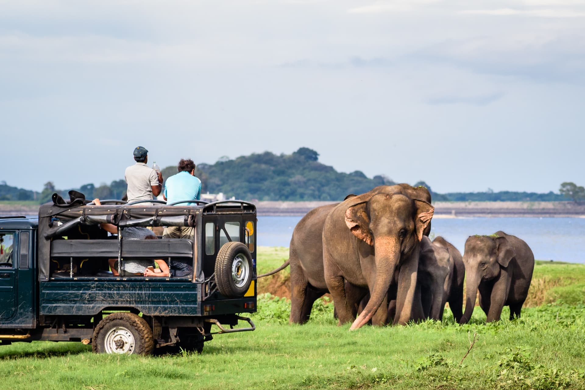 Familienreise nach Sri Lanka: Die unverzichtbaren Erlebnisse
