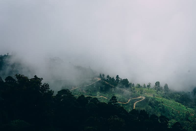 Beste Reisezeit für Sri Lanka